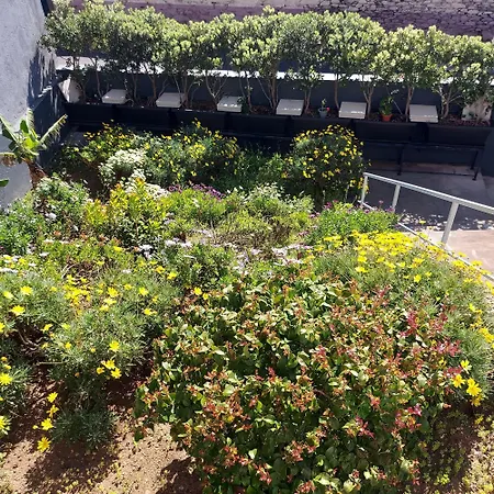 Nyaraló Maria's House